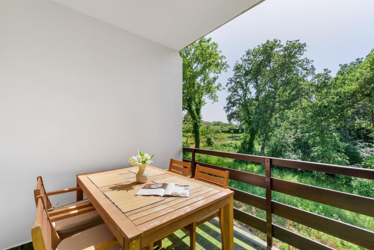 Apartments Villa Verde Novigrad Istria Εξωτερικό φωτογραφία